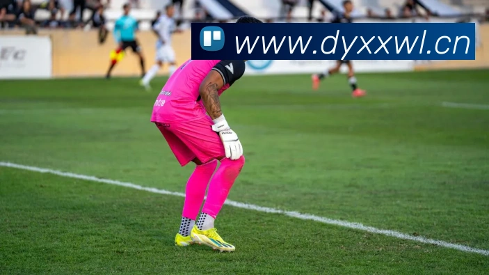 bsports体育直播品牌故事